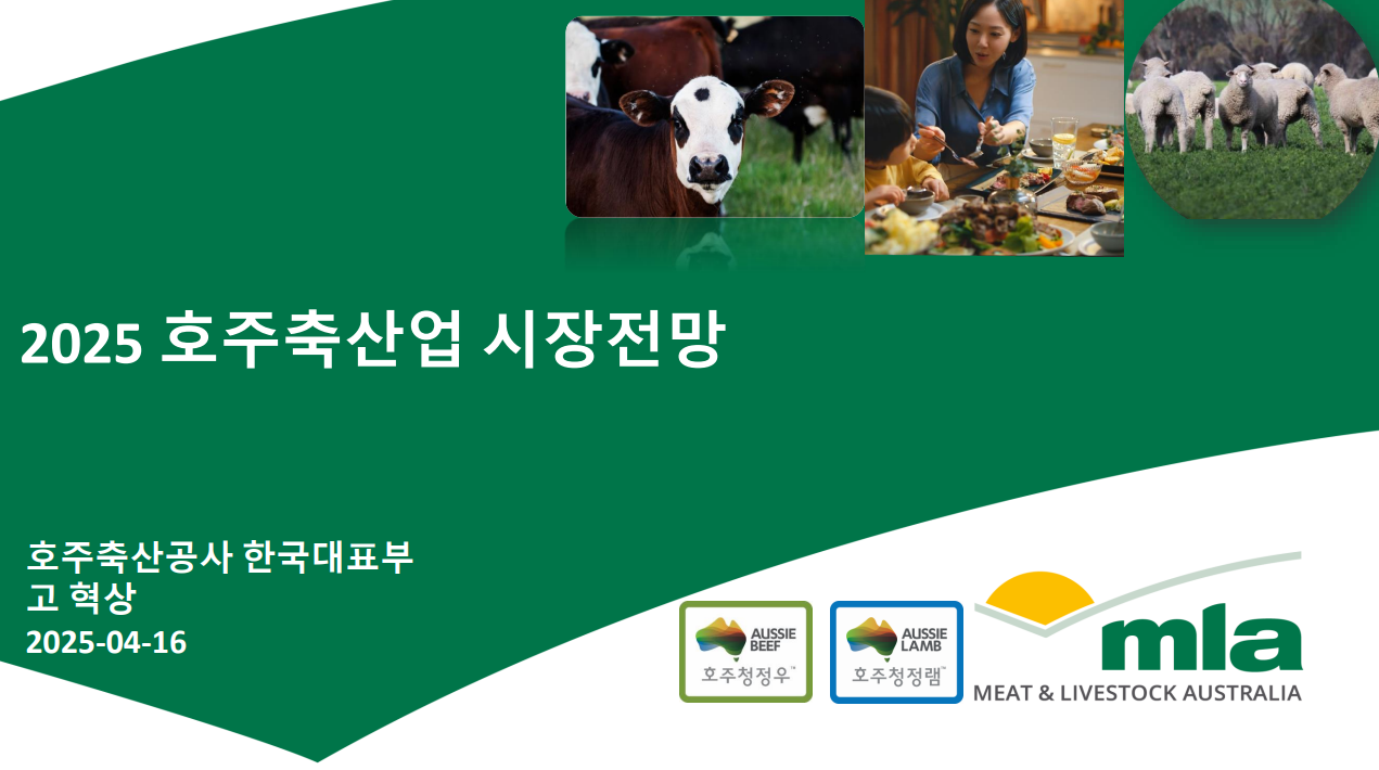 호청우 뉴스 메인화면.png